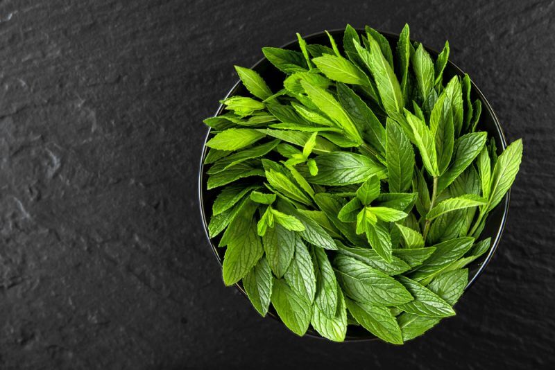 upload/files/herbal medicine/Health-Benefits-of-Mint-Leaves.jpg